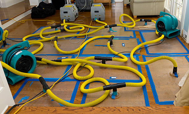 Professional Water Damage Restoration technician working in Clearwater, KS